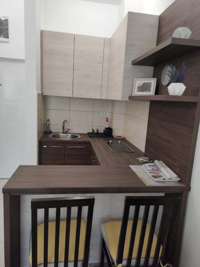 Studio Apartman Dani Banja Koviljača Екстериор снимка